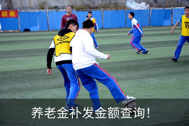 养老金补发金额查询！